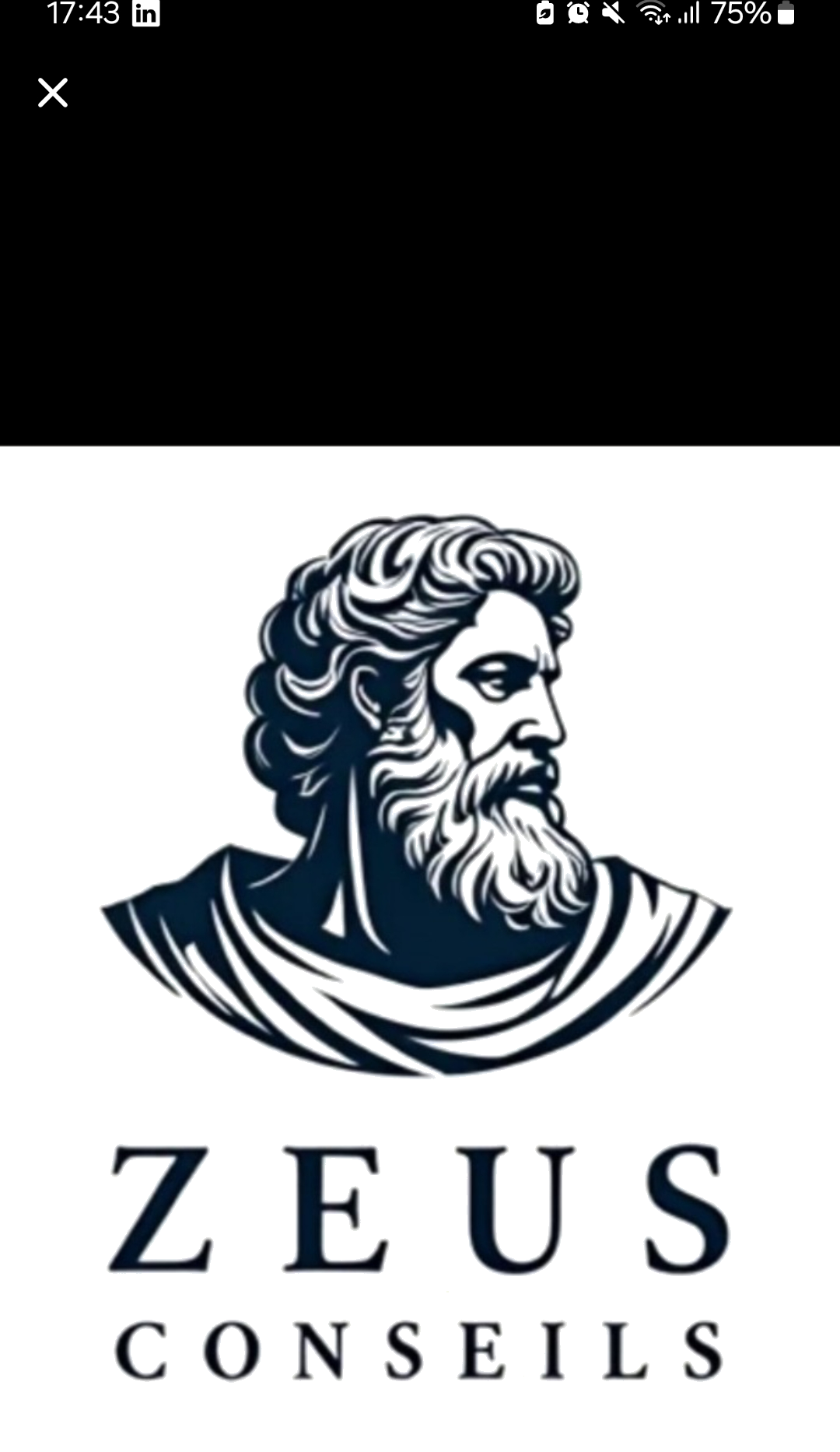 Logo Zeus Conseils